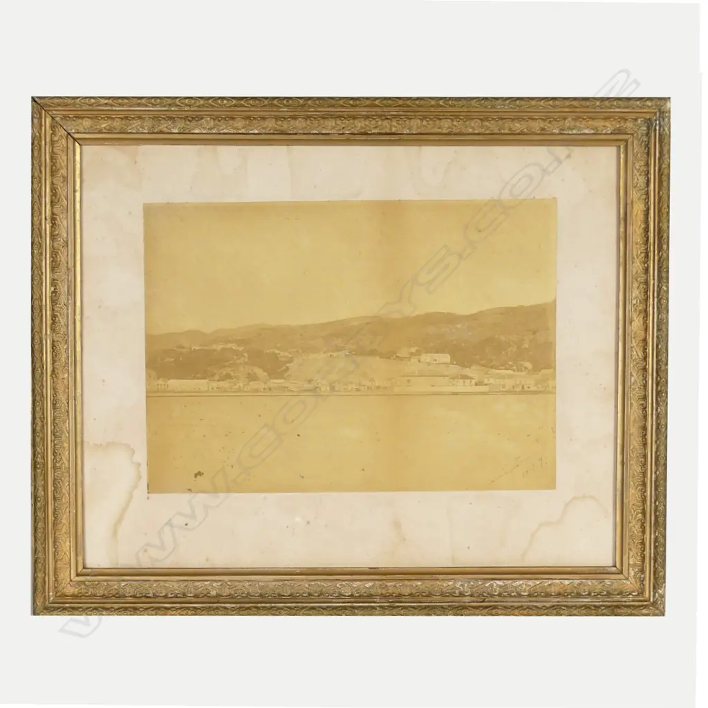 Two early photographs of Wellington Image 1++