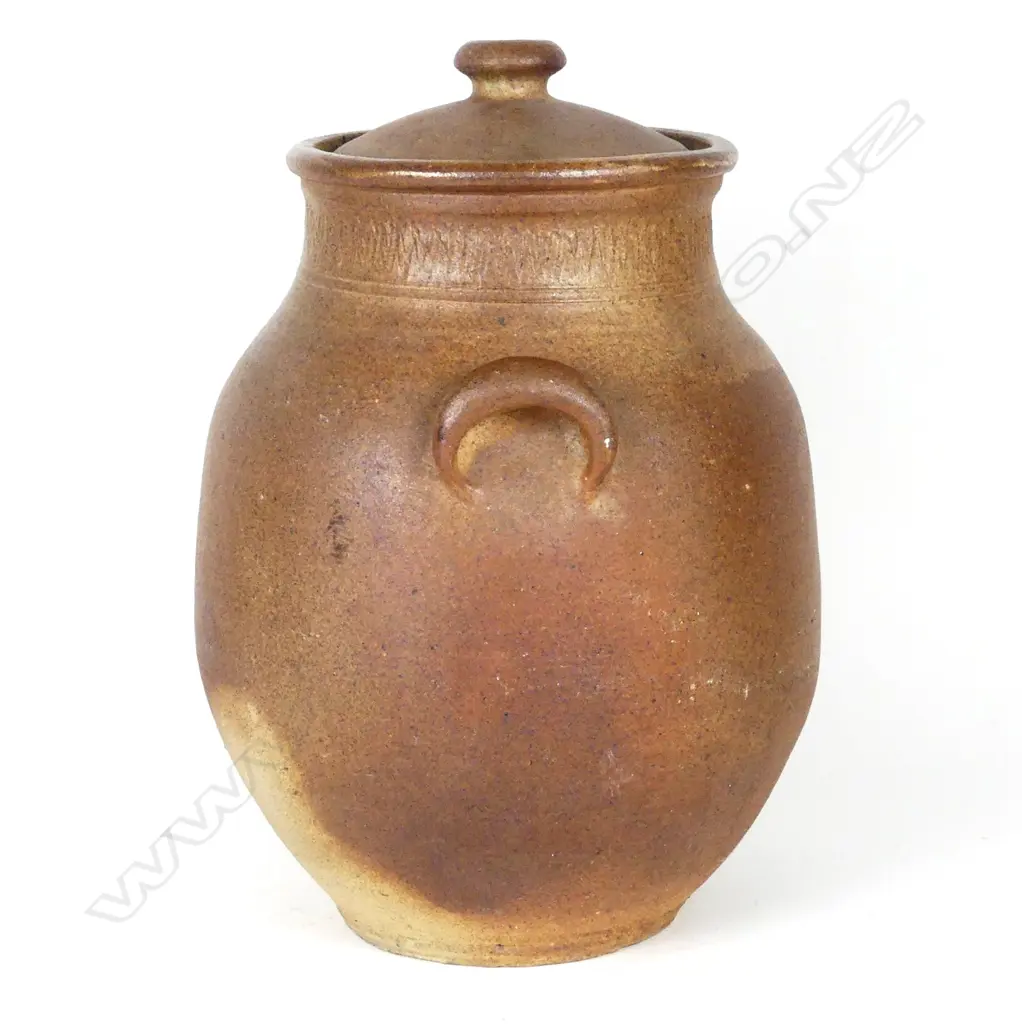 A large Barry Brickell stoneware lidded floor pot Image 1++