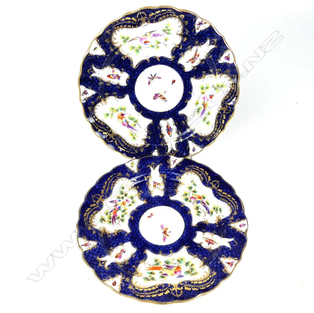 A pair of Royal Worcester cabinet plates Image 1++