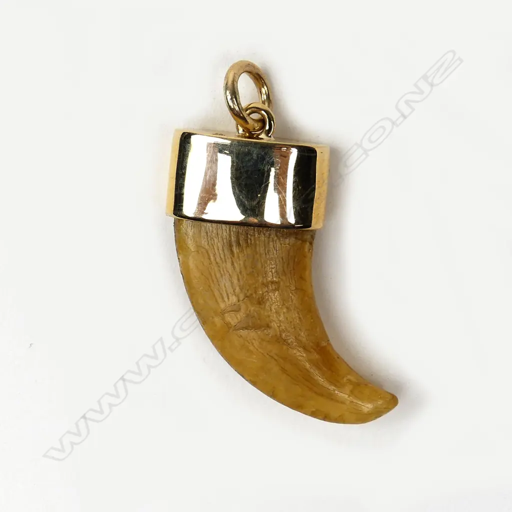 A vintage tiger claw pendant Image 1++