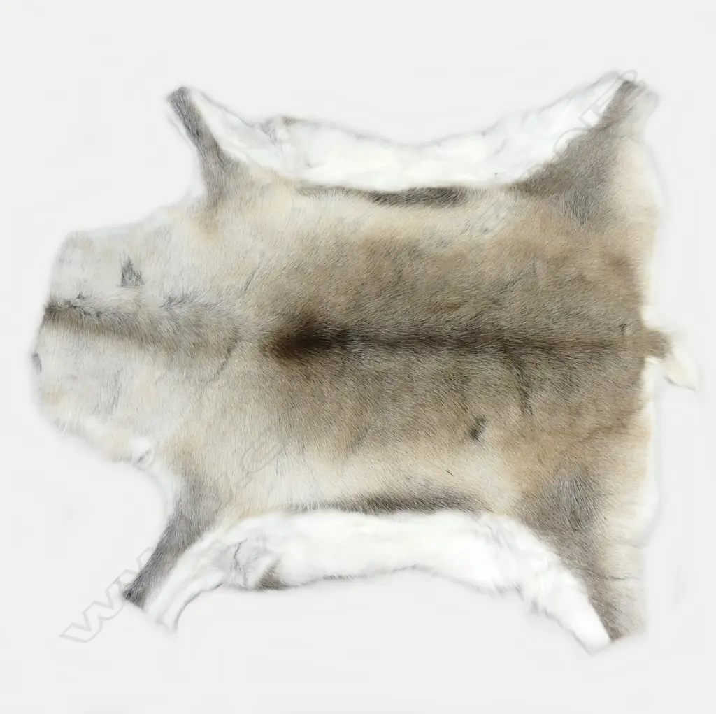 A good quality reindeer skin rug Image 1++