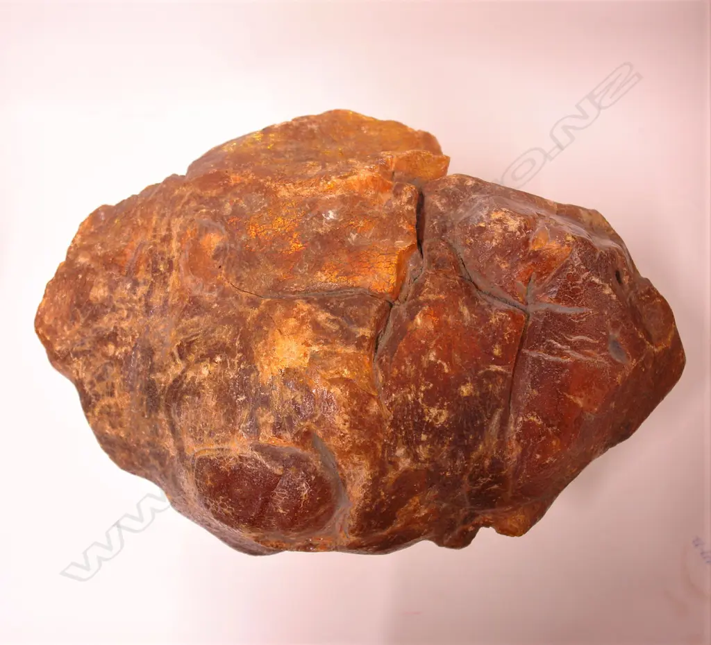 A good large kauri gum boulder Image 1++