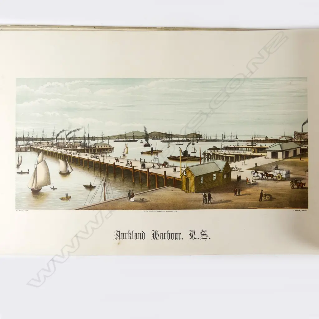 'New Zealand Illustrated. [Potts and Willis] The Story of New Zealand and Descriptions of its Cities and Towns...The Natural Wonders of New Zealand' Image 1++
