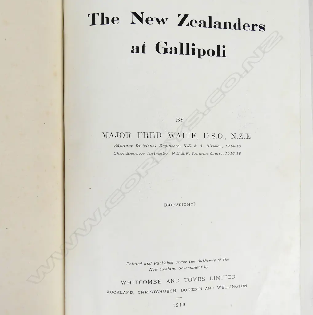 'The New Zealanders at Gallipoli' by Fred Waite Image 1++