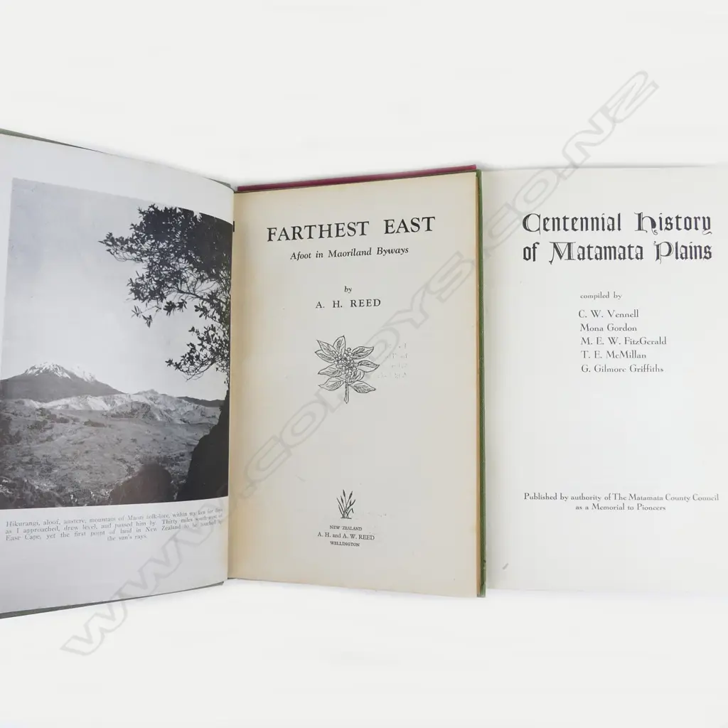 'The New Story of the Kauri' Image 1++