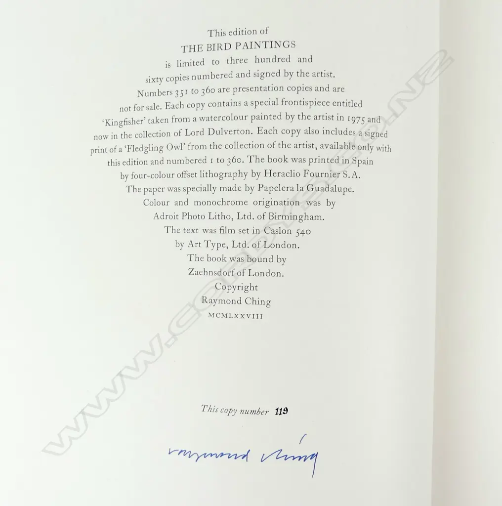 'The Bird Paintings' Image 1++