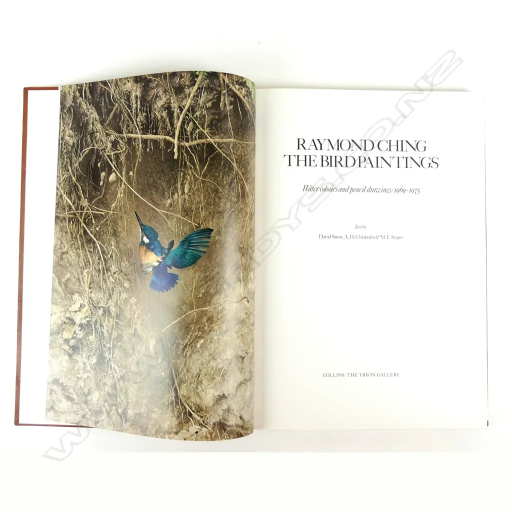 'The Bird Paintings' Image 1++