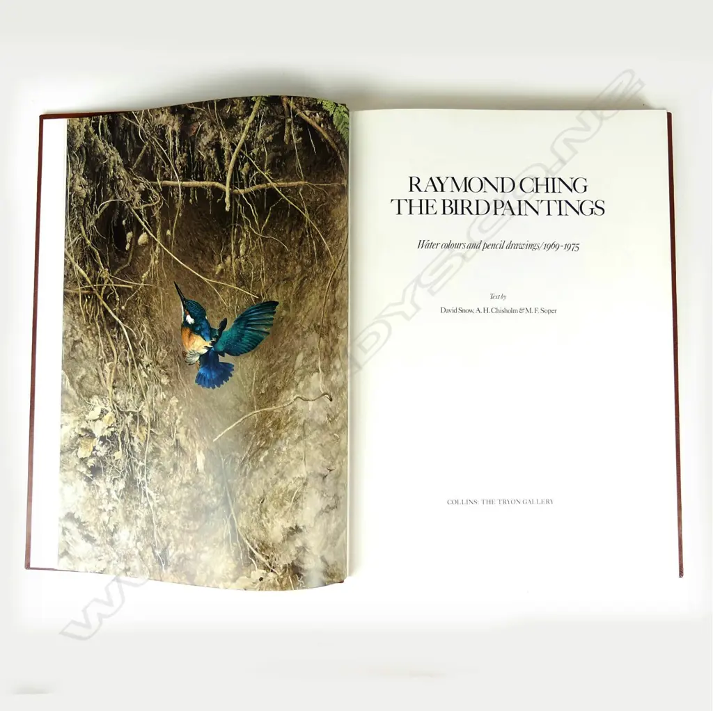 'The Bird Paintings' Image 1++