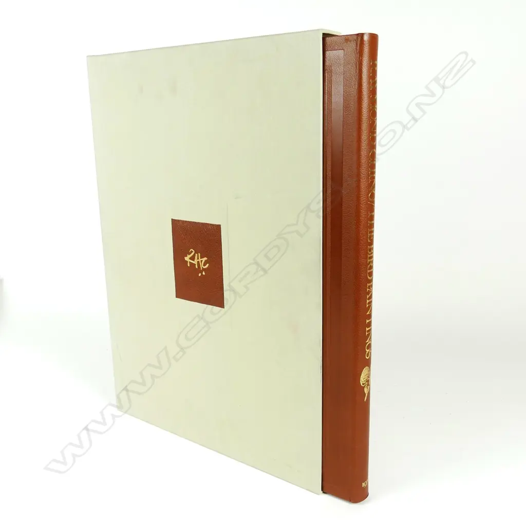 'The Bird Paintings' Image 1++