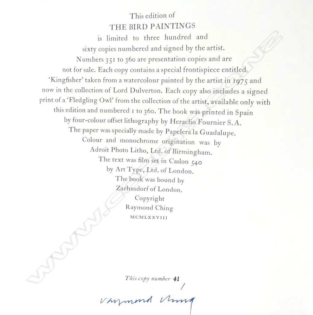 'The Bird Paintings' Image 1++