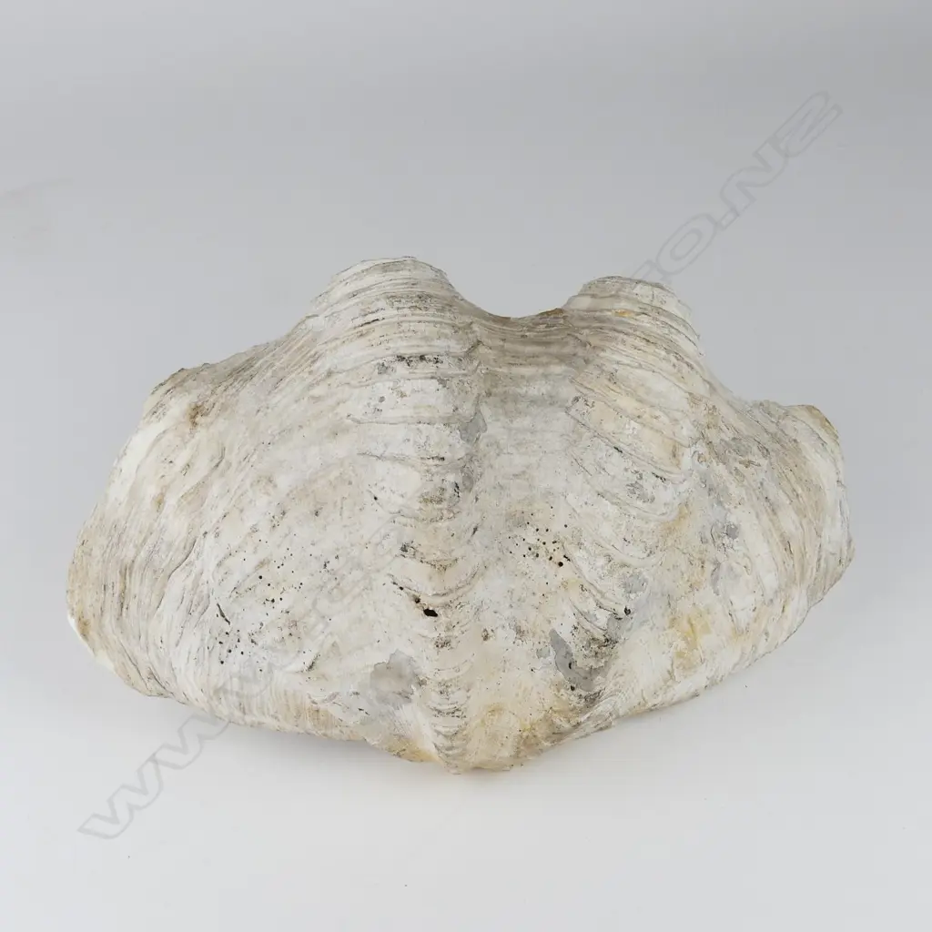 Frank Barnes Image 1++