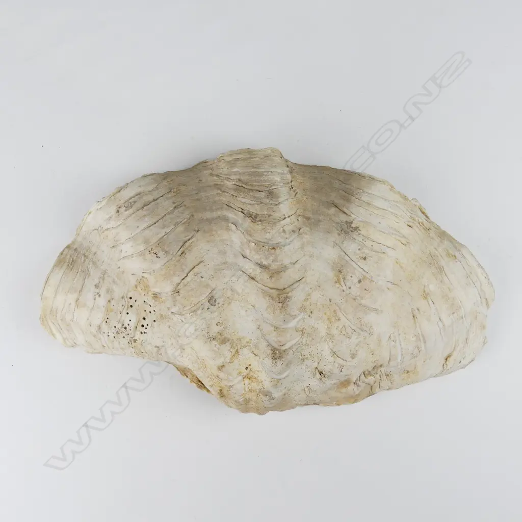 Frank Barnes Image 1++