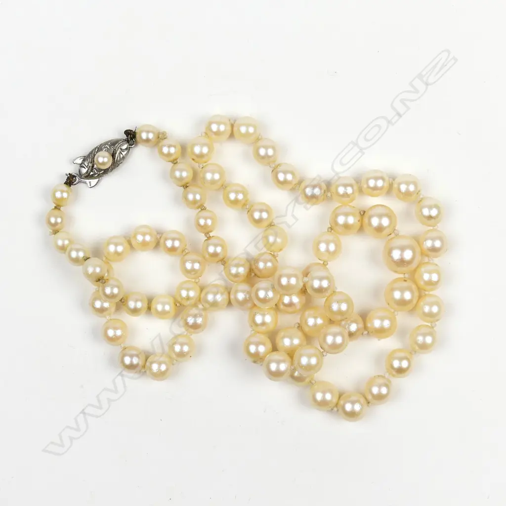 A cultured pearl necklace Image 1++