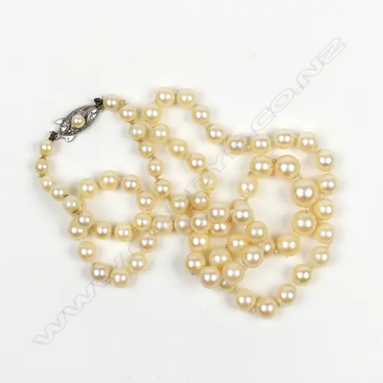 A cultured pearl necklace