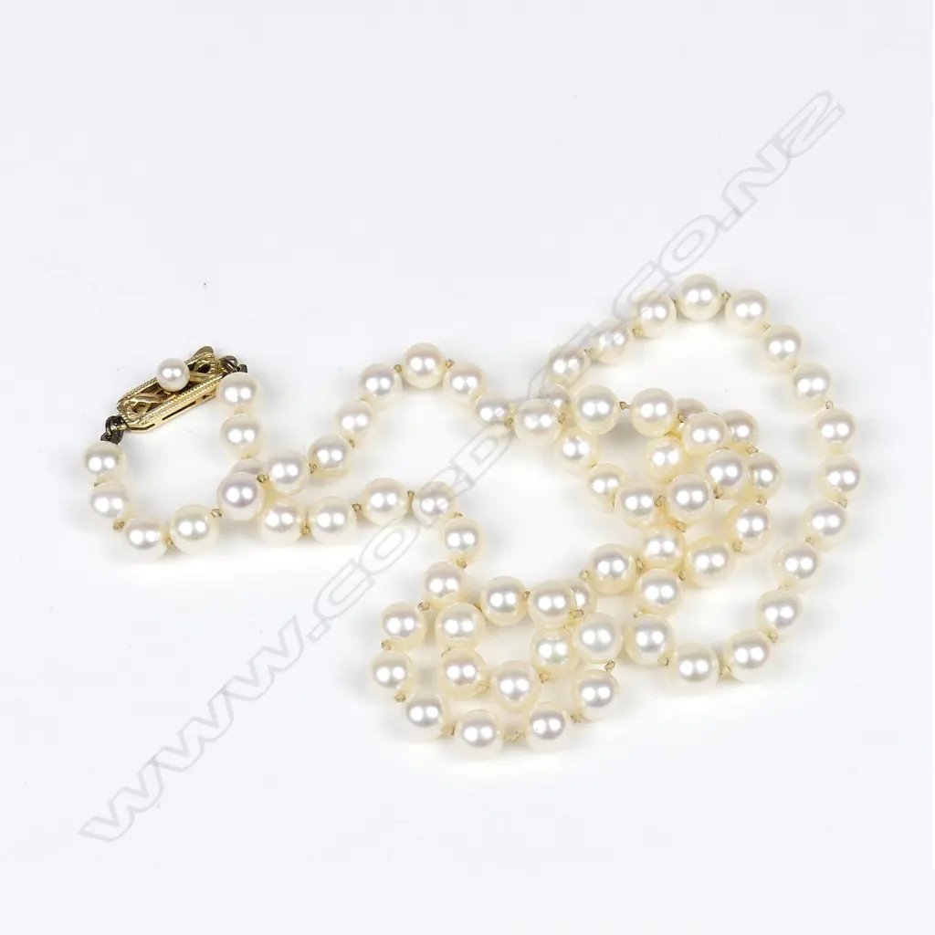 A Mikimoto cultured pearl necklace Image 1++