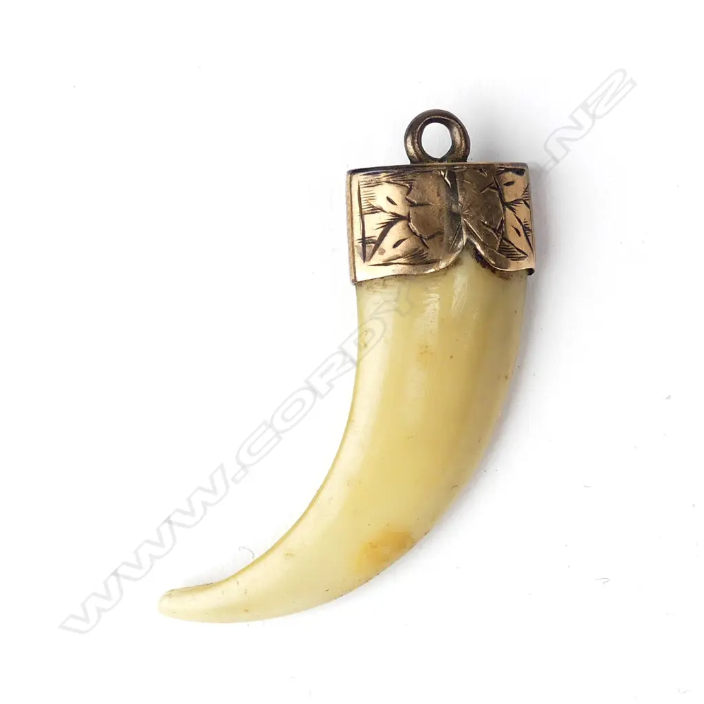 A Victorian gold mounted animal tooth Image 1++