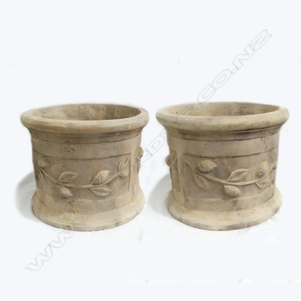 A pair of large French style citrus garden pots Image 1++