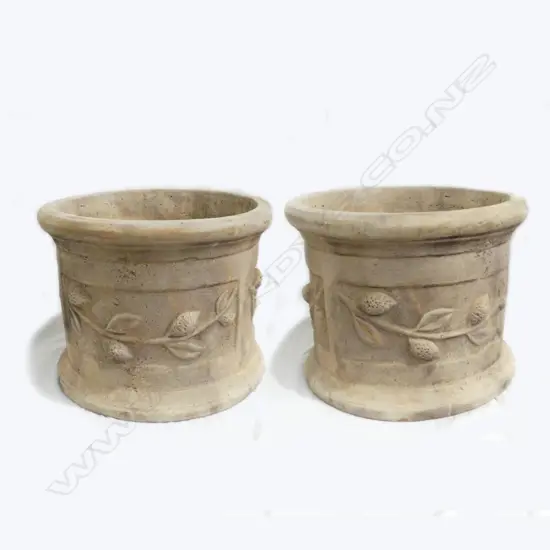 A pair of large French style citrus garden pots
