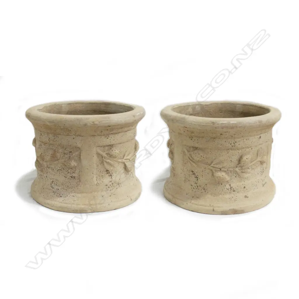 A pair of French style citrus garden pots Image 1++