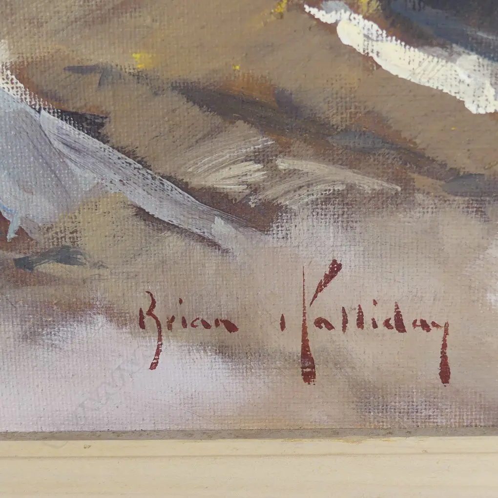 Brian Halliday Image 1++