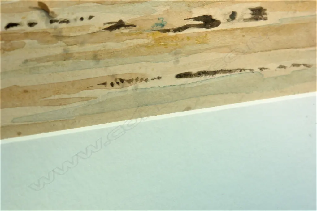 C P Brandard Image 1++