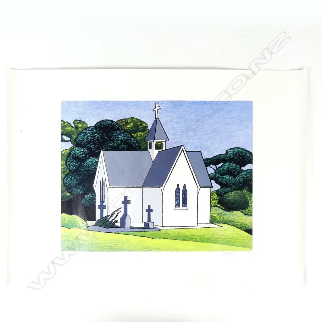 Don Binney Image 1++