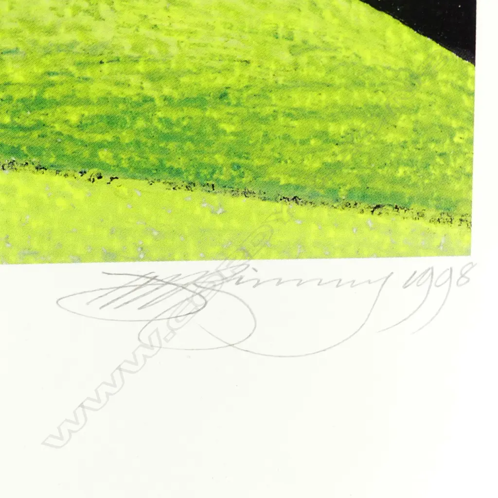 Don Binney Image 1++