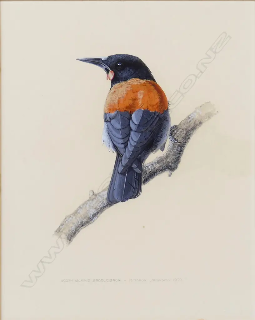 Russell Jackson Image 1++