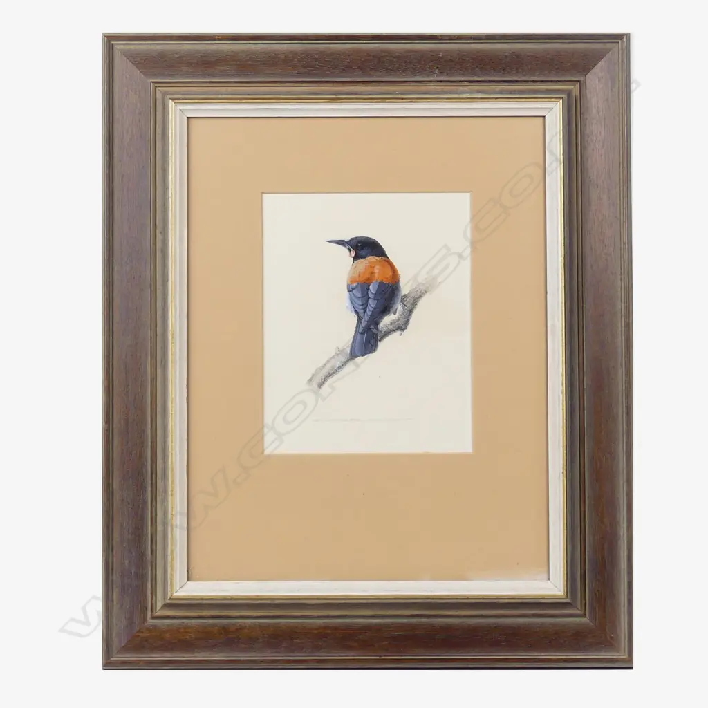 Russell Jackson Image 1++