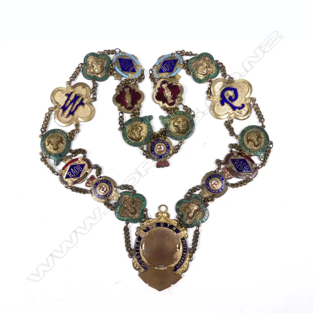 A Royal Antediluvian Order of Buffaloes enamelled chain Image 1++