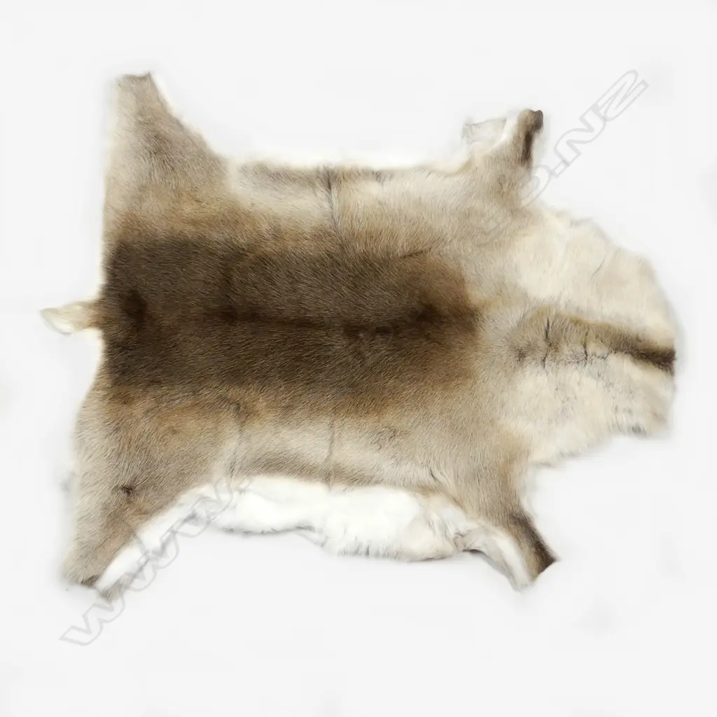 A good quality reindeer skin rug Image 1++