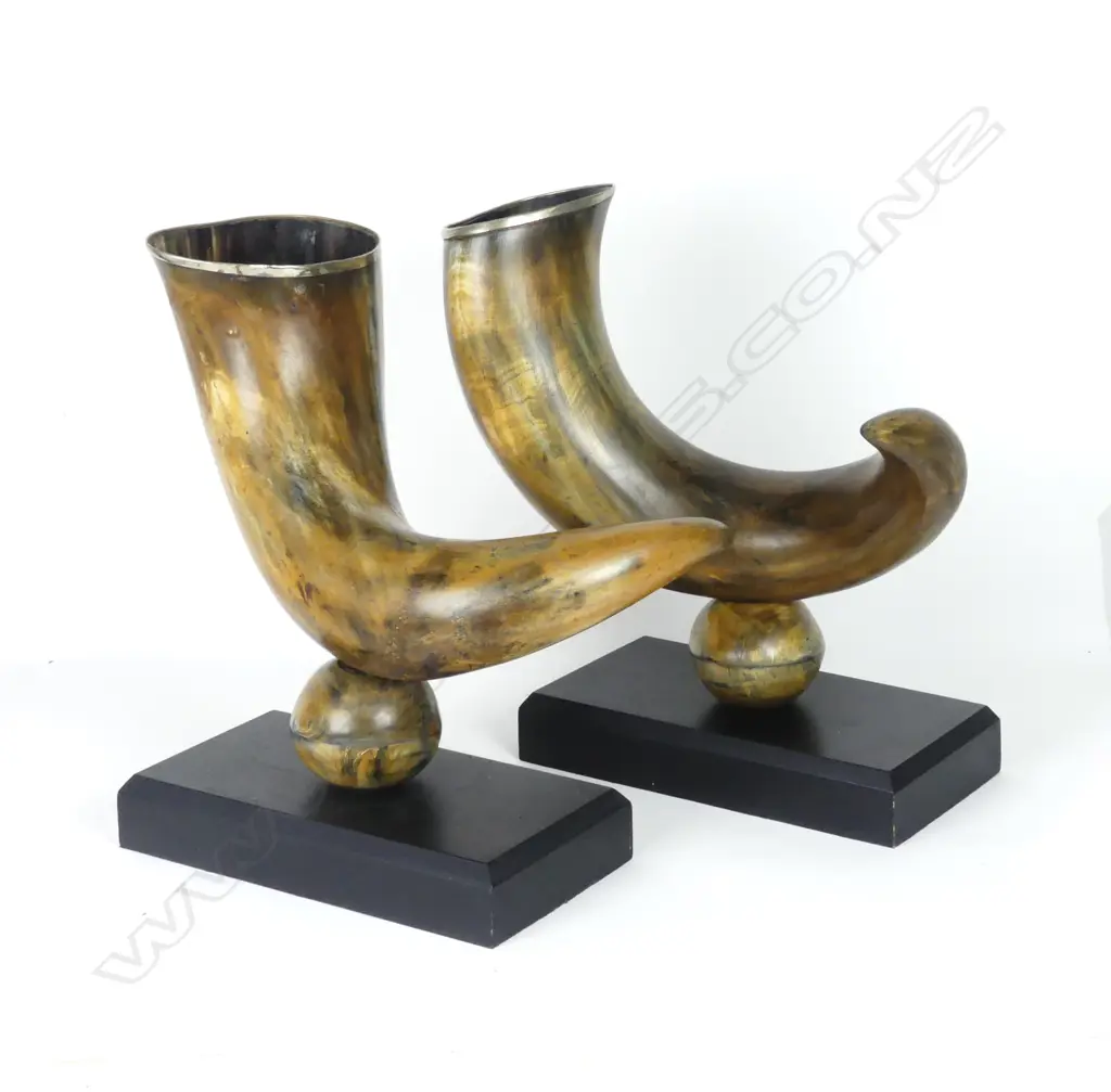 A pair of decorative drinking horns Image 1++