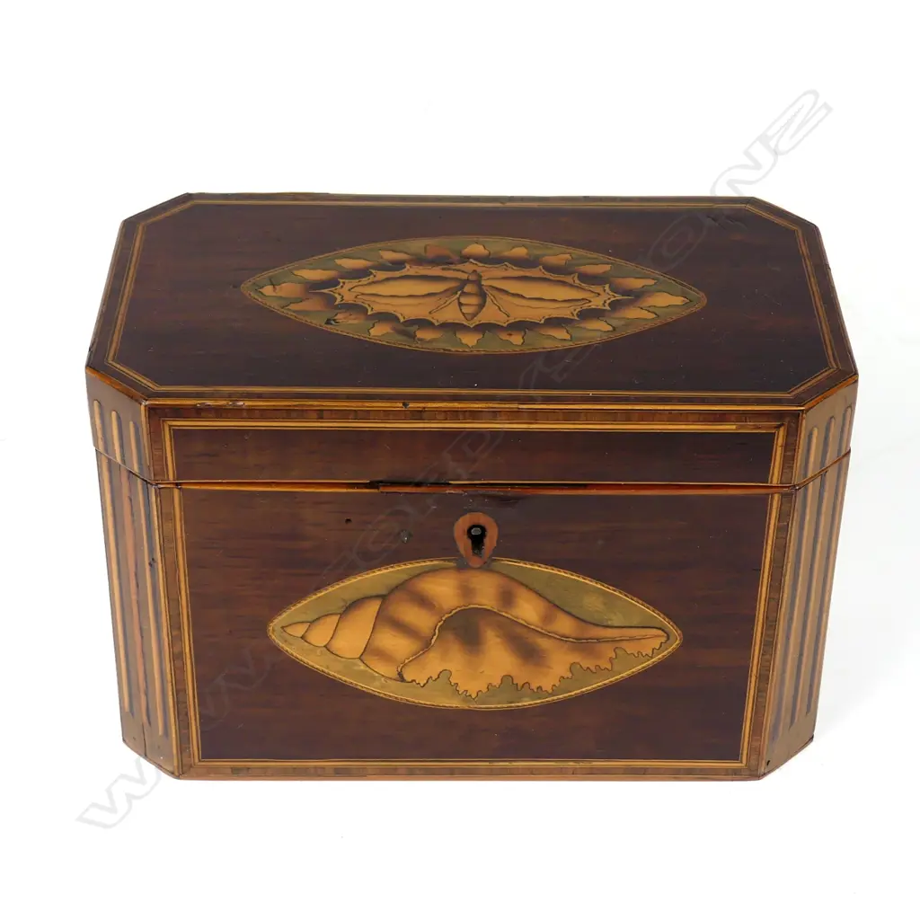 A Georgian Sheraton period inlaid tea caddy Image 1++
