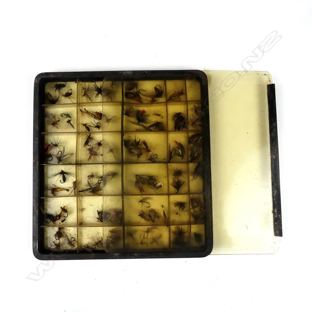 A rare Edwardian 6½ x 6¼’ black metal fly box Image 1++