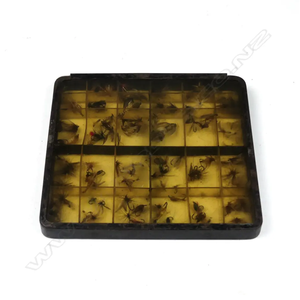 A rare Edwardian 6½ x 6¼’ black metal fly box Image 1++