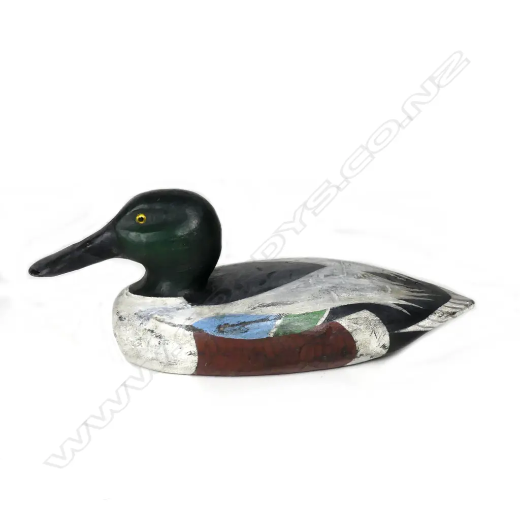 An unusual 15’ wooden Shoveler decoy duck Image 1++