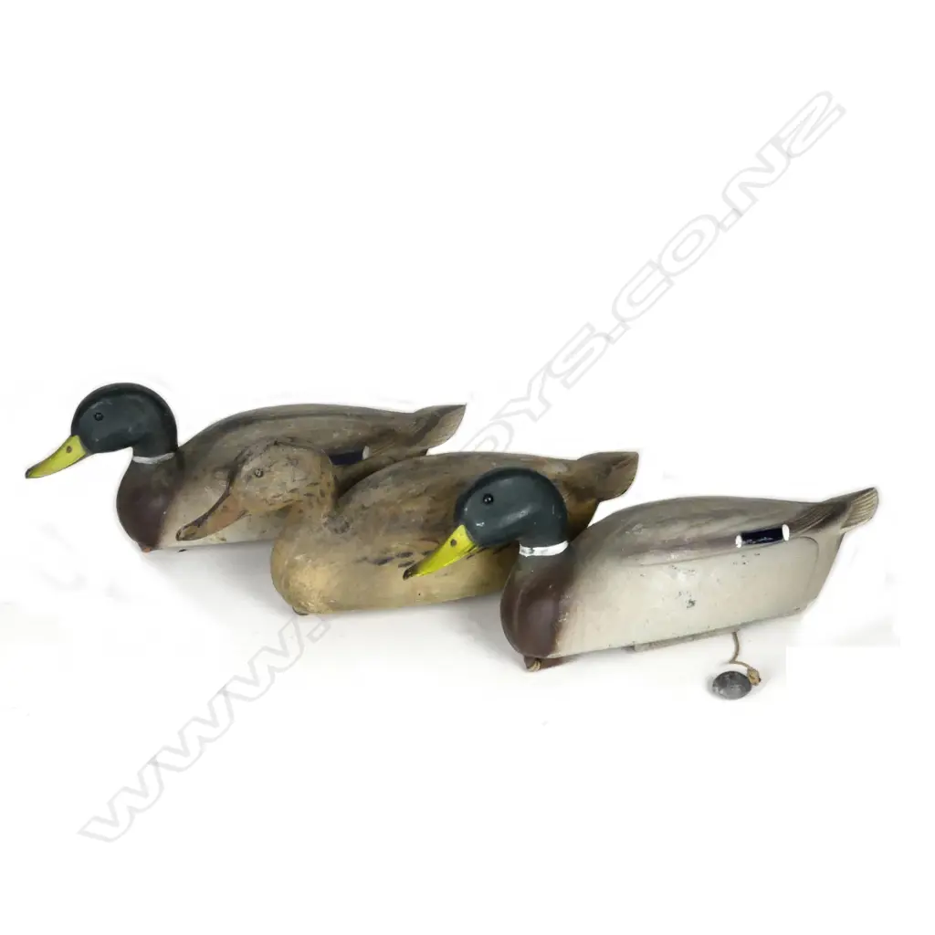 A trio of 1954 American hollow-moulded decoy ducks Image 1++