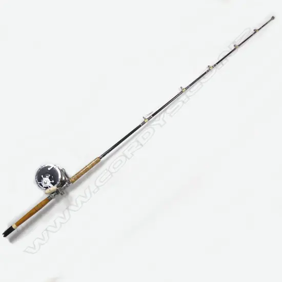 A Penn Senator 10/0 big game reel