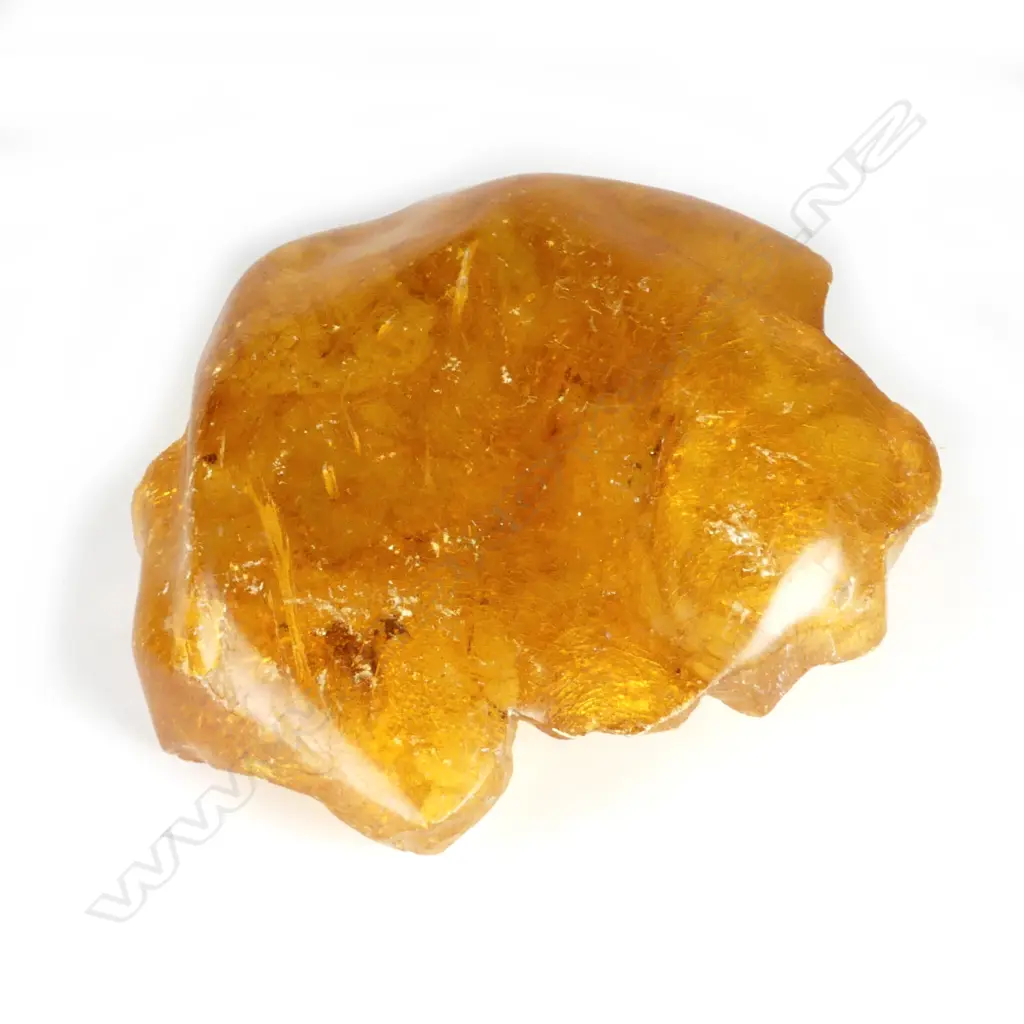 A polished piece of kauri gum Image 1++