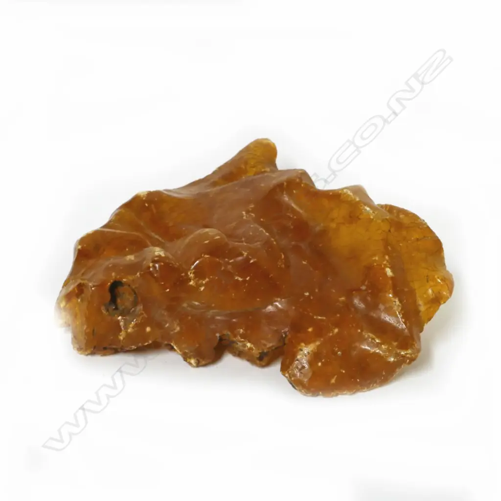 A piece of polished kauri gum Image 1++