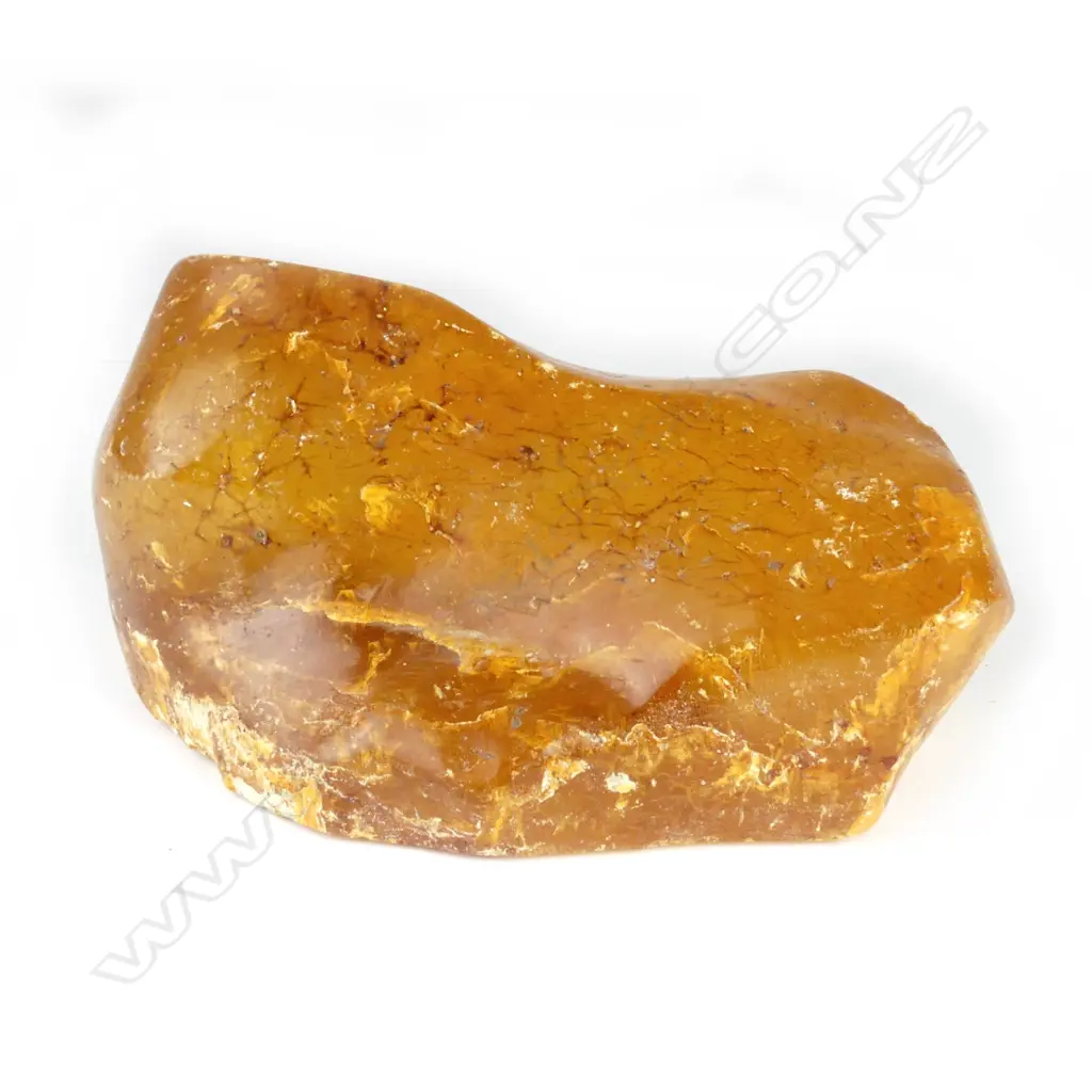 A piece of polished kauri gum Image 1++