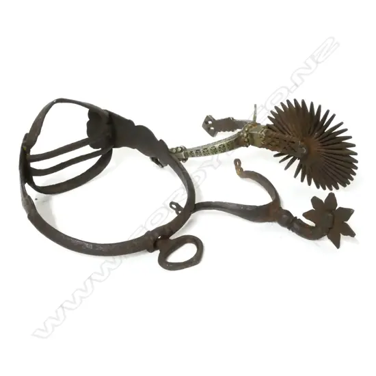A 19thC Chilean spur