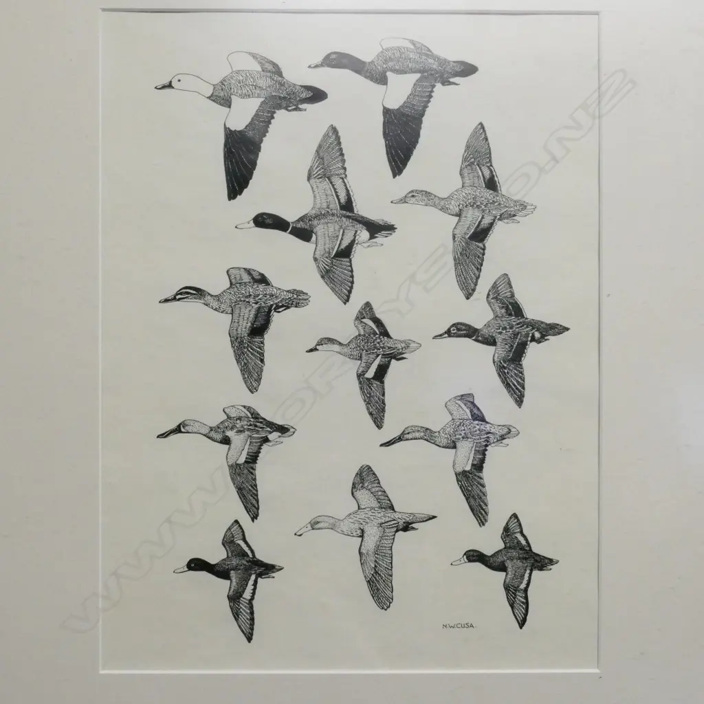 Noel William Cusa (1909-90) Image 1++