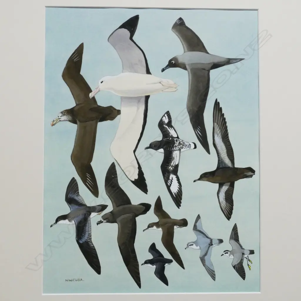 Noel William Cusa (1909-90) Image 1++