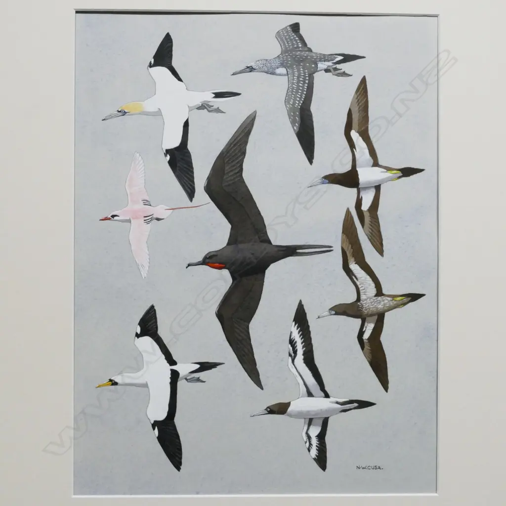 Noel William Cusa (1909-90) Image 1++