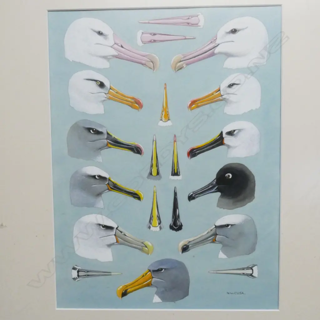 Noel William Cusa (1909-90) Image 1++