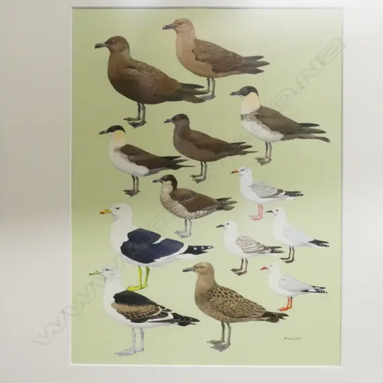 Noel William Cusa (1909-90)