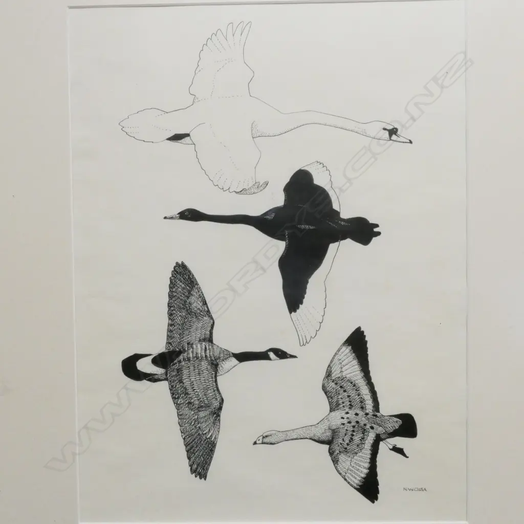 Noel William Cusa (1909-90) Image 1++