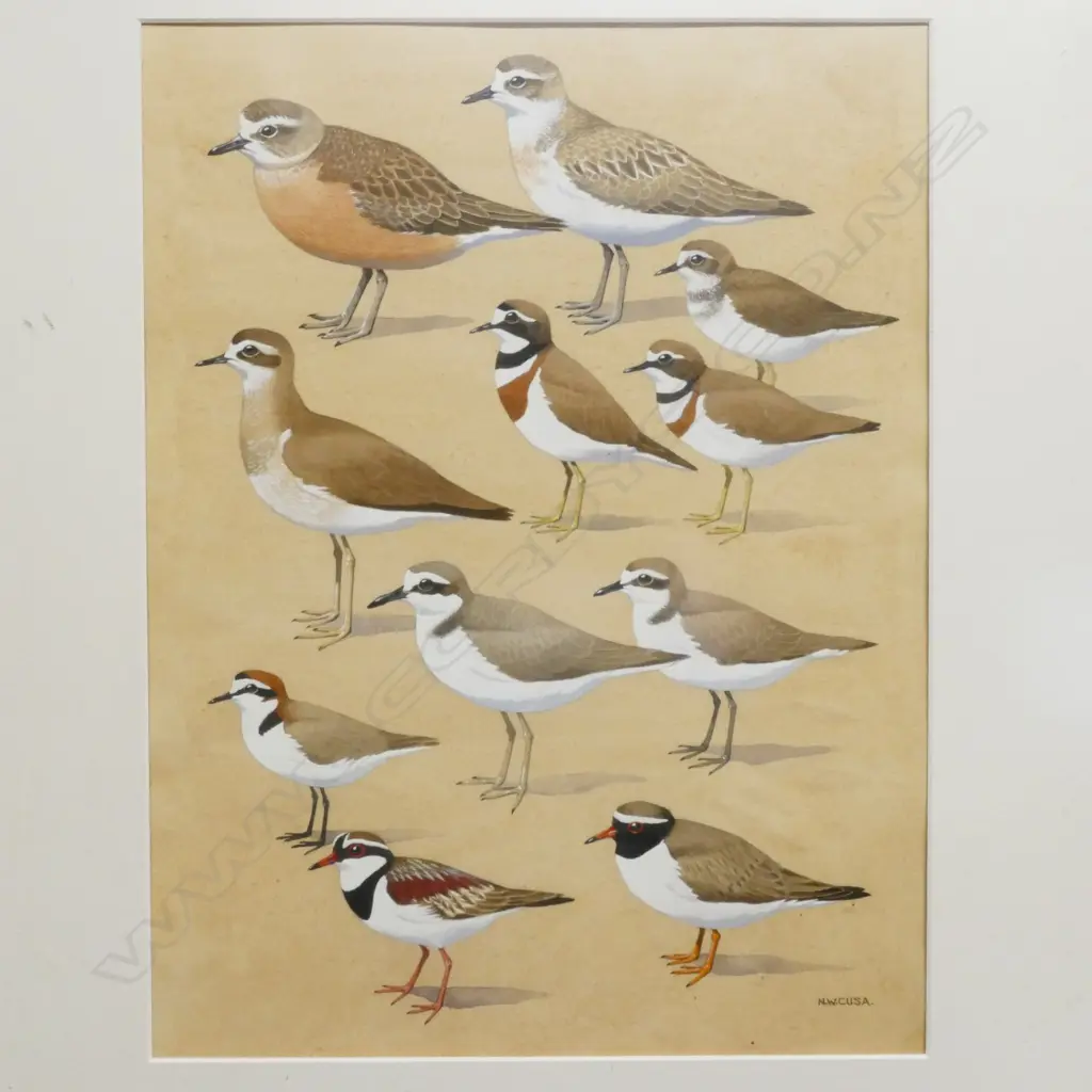 Noel William Cusa (1909-90) Image 1++