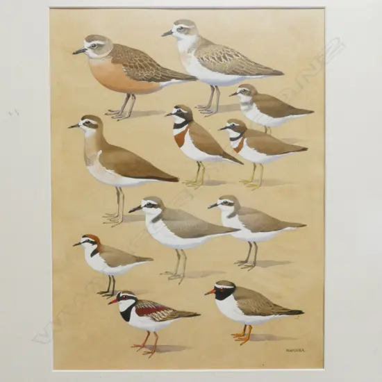 Noel William Cusa (1909-90)